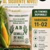 Venta de semilla de maíz