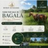 Farm for sale in Bagala, district of Boqueron, Chiriqui.