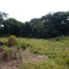 Farm in the vicinity of Guayabal, district of Boqueron, Chiriqui.