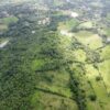 SE VENDE FINCA GANADERA DE 51.2 HECTÁREAS EN LA CHORRERA