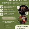 Mata rata biológico